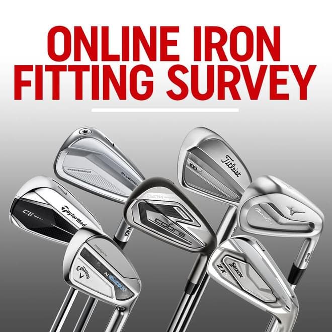 Online Iron Fitting Survey